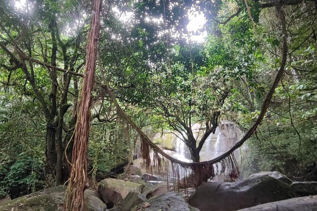 Borneo Native Treasures Wildlife Culture and Nature