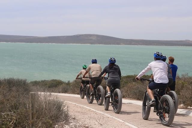 E-Bike Safari West Coast Full Day Tour in Cape Town