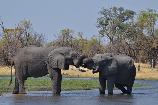 11 Days and 10 Nights Private Northern Explorer Tour