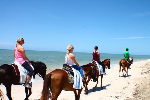 Private Horseback Riding & Bamboo Rafting Tour Ocho Rios Jamaica