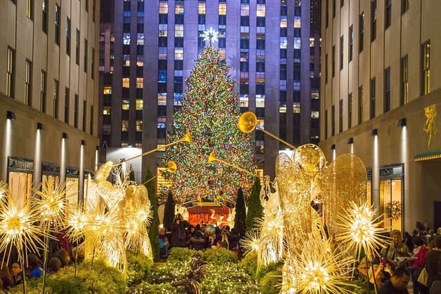 Private Christmas Lights Horse Carriage Tour In New York City