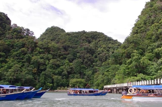 Private Guided Tour and Eagle Watching in Southern Island Geopark