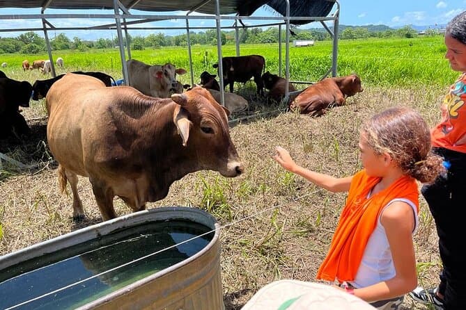 Dorado Farm Tour in San Juan Travel Experience