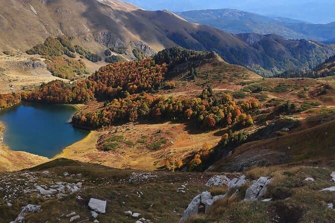 Best Biogradska Gora Day Trip from Podgorica
