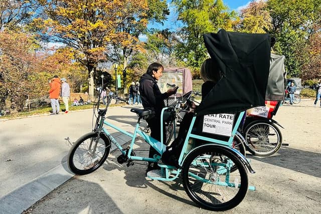 Central Park Private Pedicab Tour (60 mins)