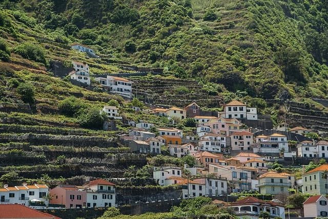 In 8 Days Discover Madeira