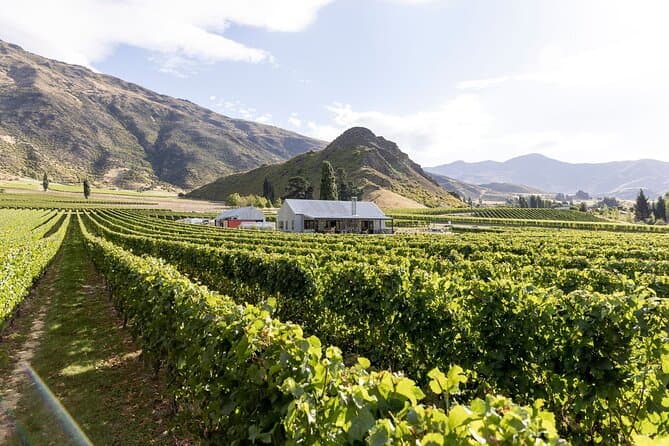 Unforgettable Wine Tasting Adventures in Queenstown