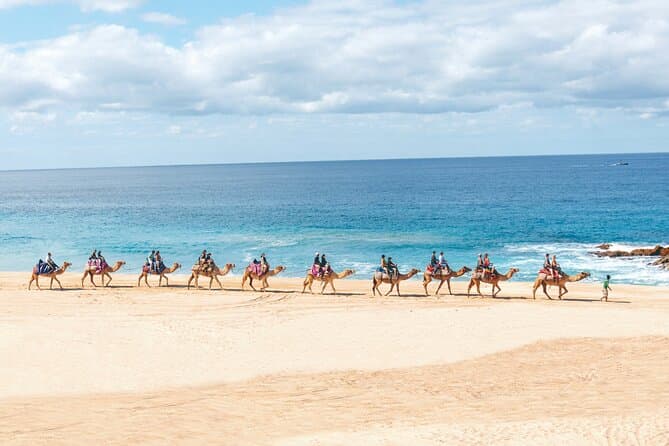 Ride Camels in Cabo: A Unique Desert Adventure