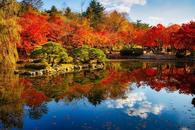 Private Tour Gyeongju Highlights Full-Day from Busan