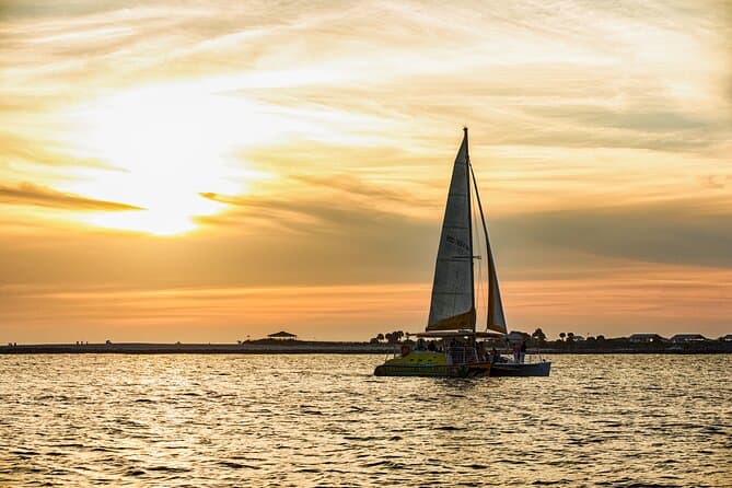Best Sunset Dolphin Cruise in Panama City Beach, FL
