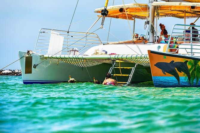 Best Dolphin Sightseeing Sails in Panama City Beach