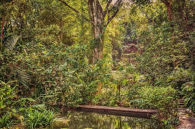 Private Tour to Entopia Butterfly Farm and Tropical Spice Garden