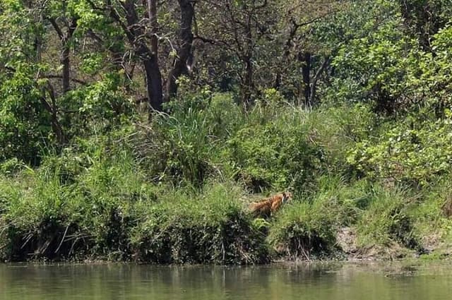 Chitwan National Park Unique Activities From Untouched Side Madi