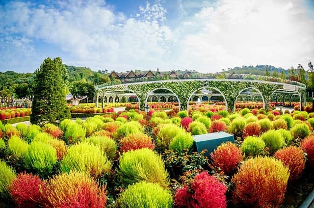 Private Tour Everland Theme Park Full Day from Seoul
