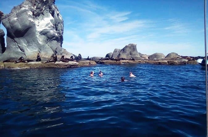 Best Coronado Island Excursions from Loreto