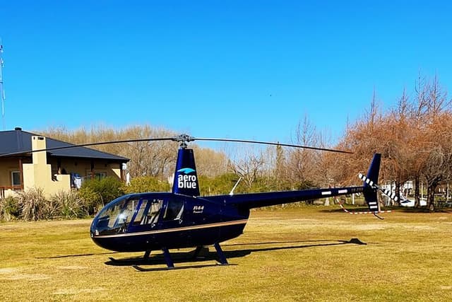 Helitour over the City of Buenos Aires and lunch in the delta