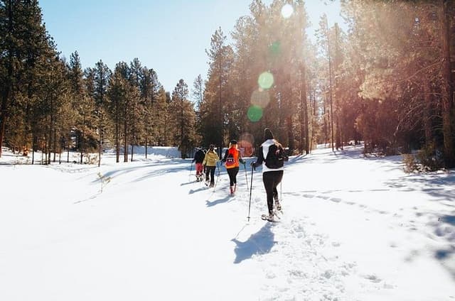 Taos Backcountry Snowshoe Tour
