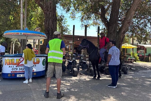 1 Hour Storms River Horse Trails Activity