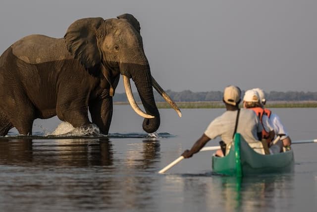 Private Canoeing, Cycling, Coffee and Hiking Tour in lake Duluti.