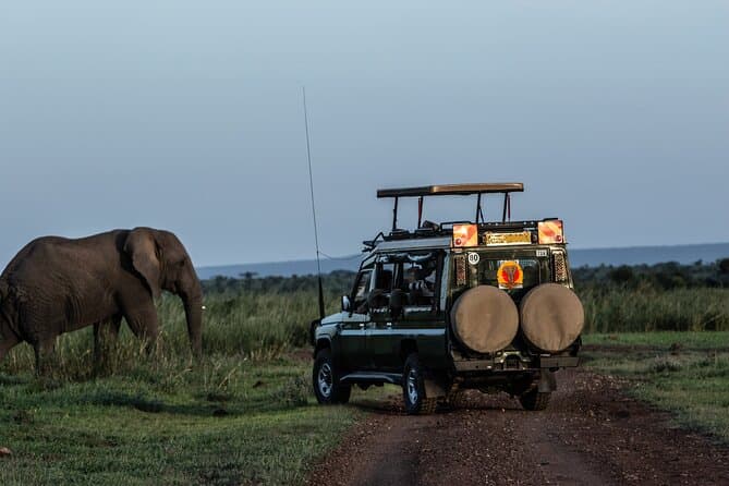 Best Tsavo East Safaris from Mombasa