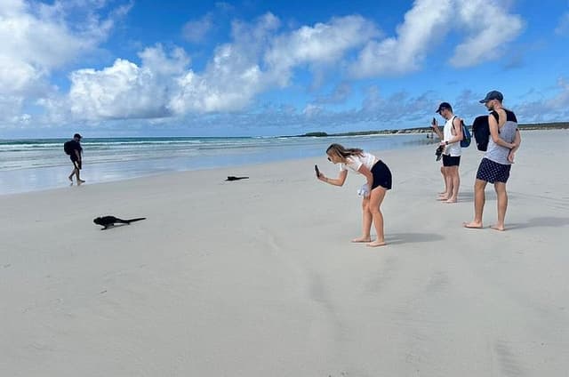 Private Santa Cruz Tour: Tortuga Bay & Charles Darwin Station