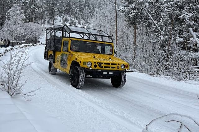 Winter Wonderland Adventure Tour | Sledding (Wildside 4x4 Tours)