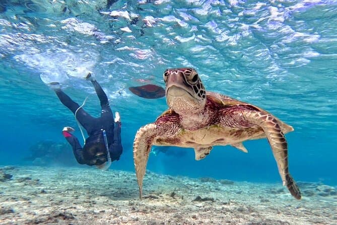 Epic Miyakojima Experiences: Your Miyako Island Guide