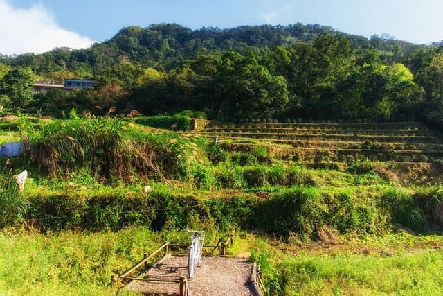 Private Tour Maokong Tea & Shenkeng Stinky Tofu from Taipei