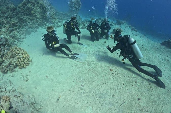 Advanced Diving Certification Hurghada Courses