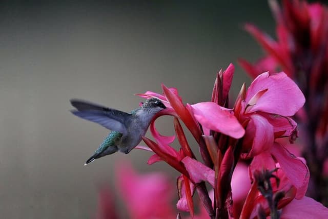 Private Day Tour in Yerette the Home of Hummingbird