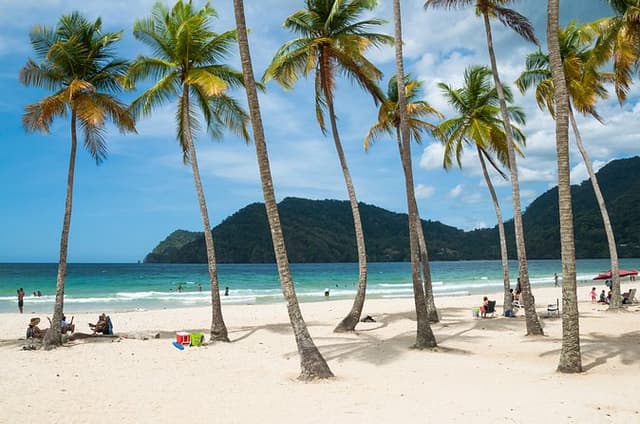 Private Tour Maracas Beach from Port of Spain