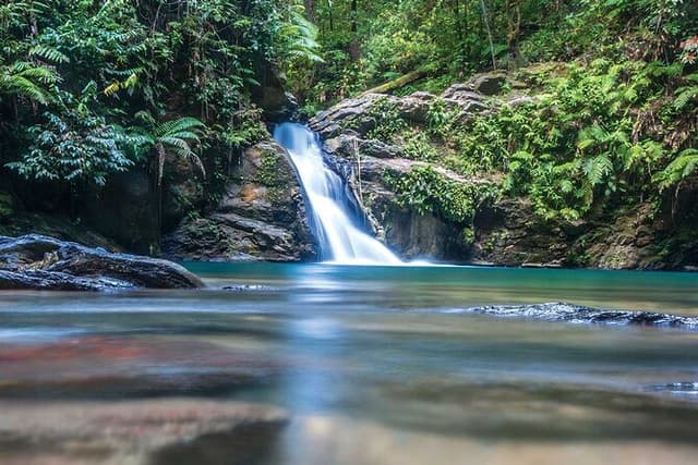 Private Tour Paria Waterfall from Port of Spain