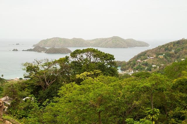 Private Tour North Coast Mountain Tour & Maracas Beach
