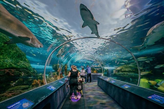 Full Day Private Sightseeing Tour in Toronto