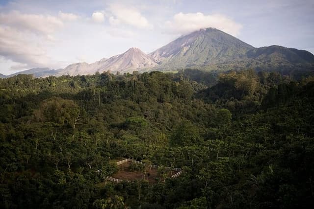 Private Xela Wellness Immersion in Guatemala