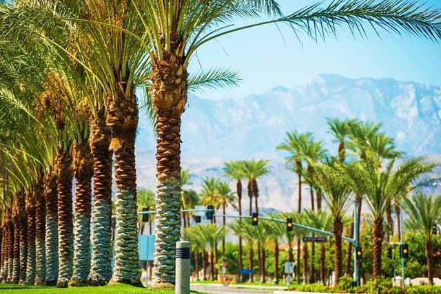 Palm Springs and Joshua Tree Self-Guided Driving Audio Tours
