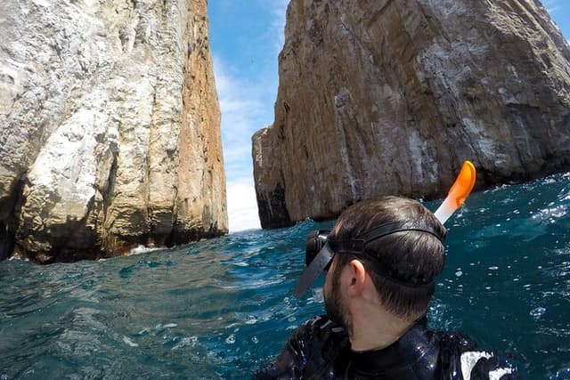 Underwater World of the Galapagos Islands Private Snorkel Tour
