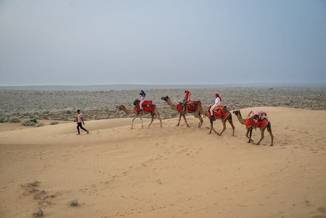 Overnight Camel Safari - Sleeping under the Stars