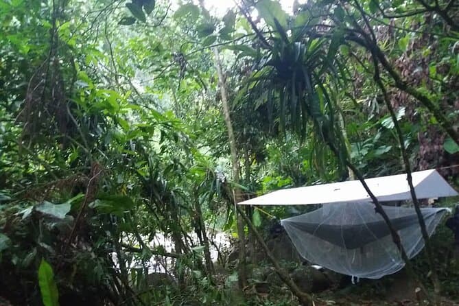 Compare Top Luang Prabang Forest Camping Tours