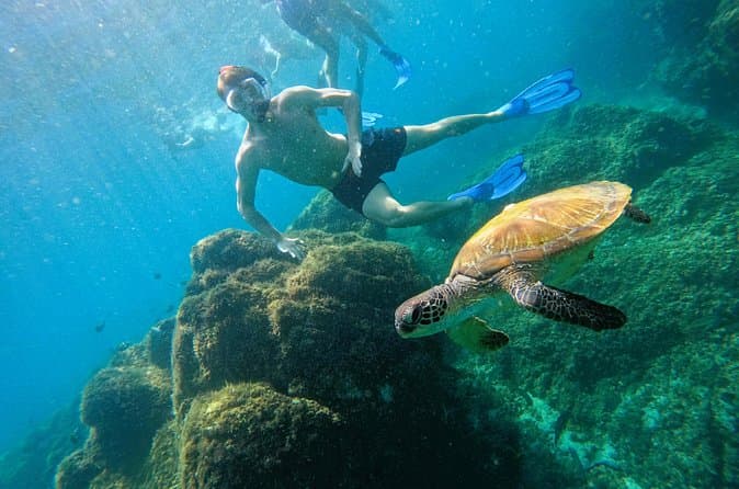 Compare Best Diving Experiences & Tours