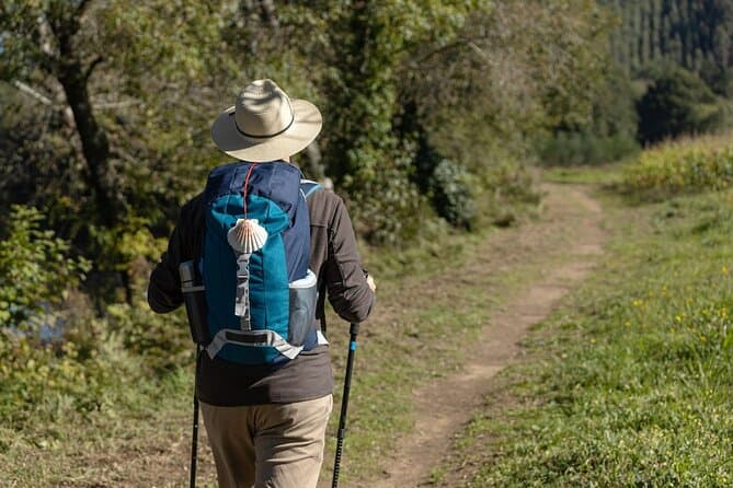 Explore the Scenic Portuguese Way Camino in Vigo