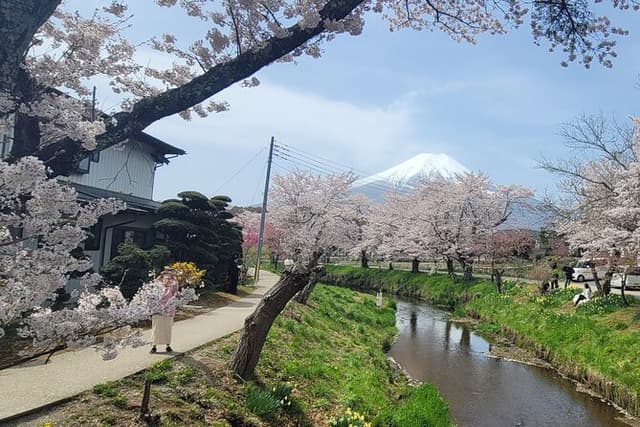 Mt Fuji Day Tour by Car With English Speaking Chauffeurs