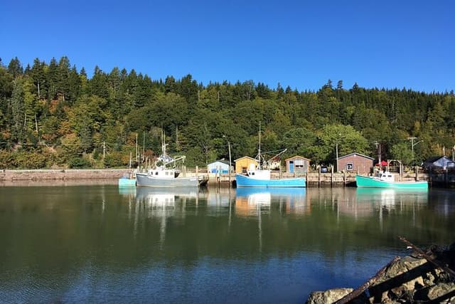 Bay of Fundy Tour in Luxury Car