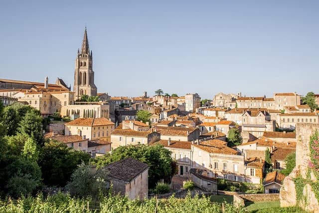 Saint-Émilion Wine Tour: Winery and Village