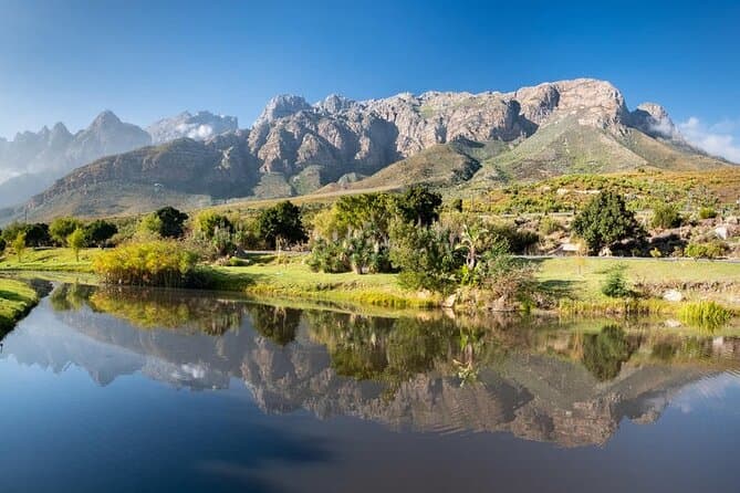 Compare Best Big Five Safaris Near Cape Town