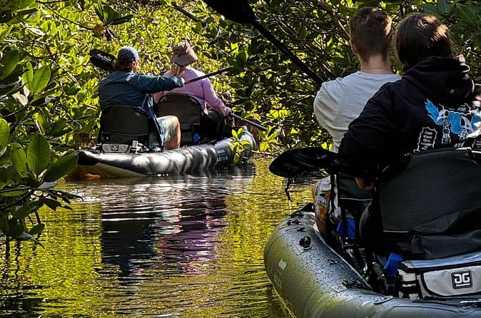 Compare Top Jungle Island Miami Tours