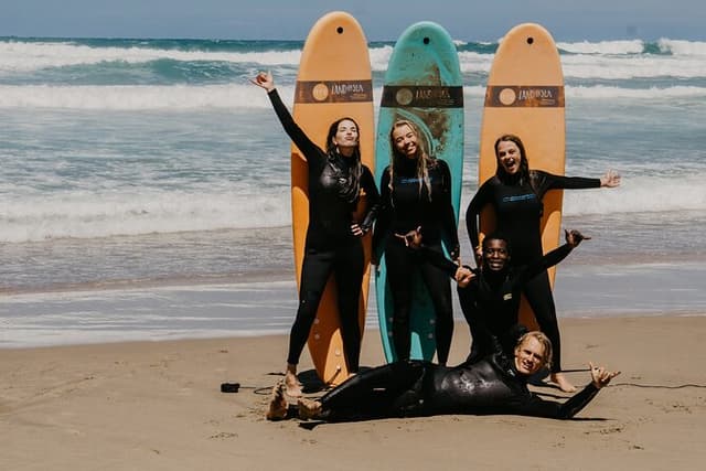1h15min surfing lessons in Victoria Bay & Wilderness