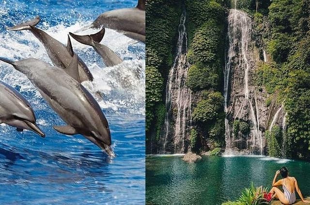 Bali Swim with Dolphins & Watching Sunrise, Gitgit Waterfall