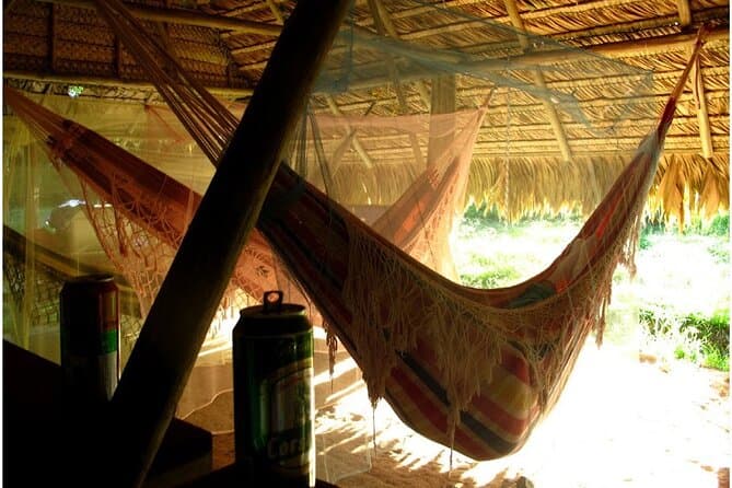 Unforgettable Jungle Adventures: Luang Prabang Forest Camping