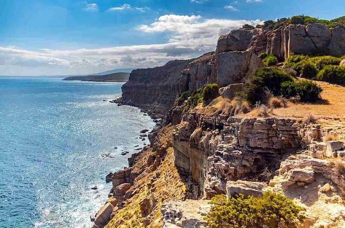 Best Cap Bon Day Tours from Tunis